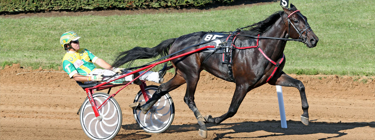 Walner